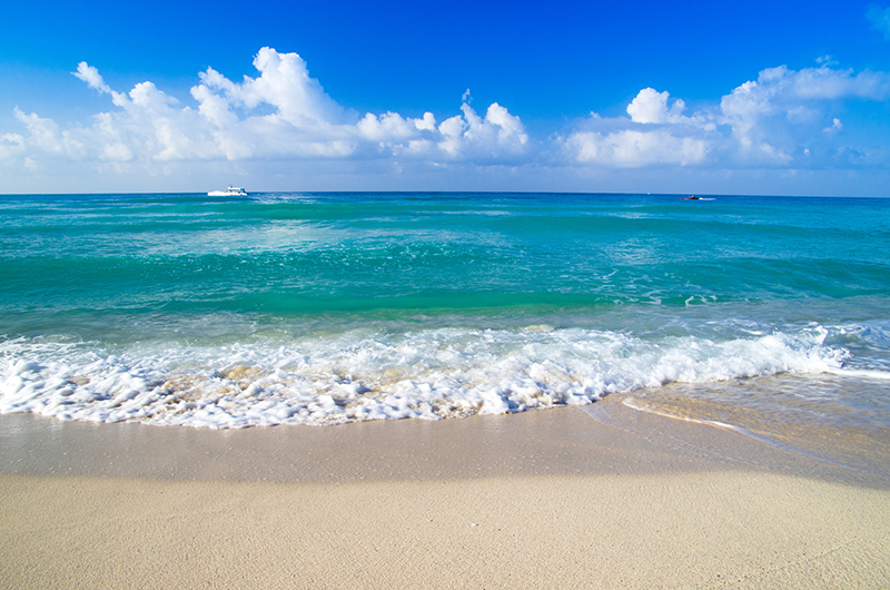 beach overlooking a blue ocean and a blue sky