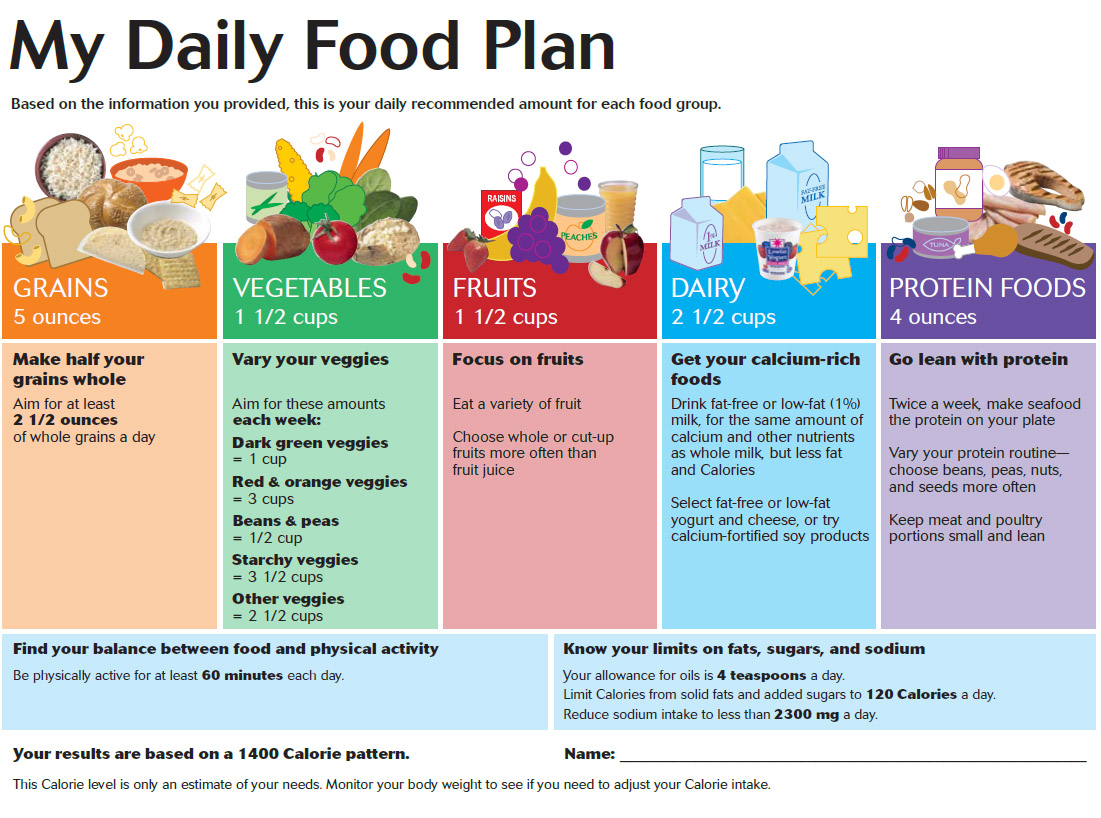My Daily Food Plan