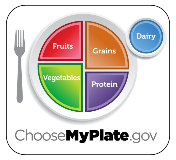 myplate - fruits, vegetables, grains, protein, dairy