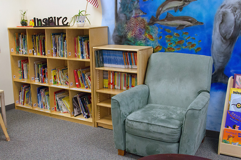 A great example of a reading space with books on labeled bookshelves and a soft reading chair