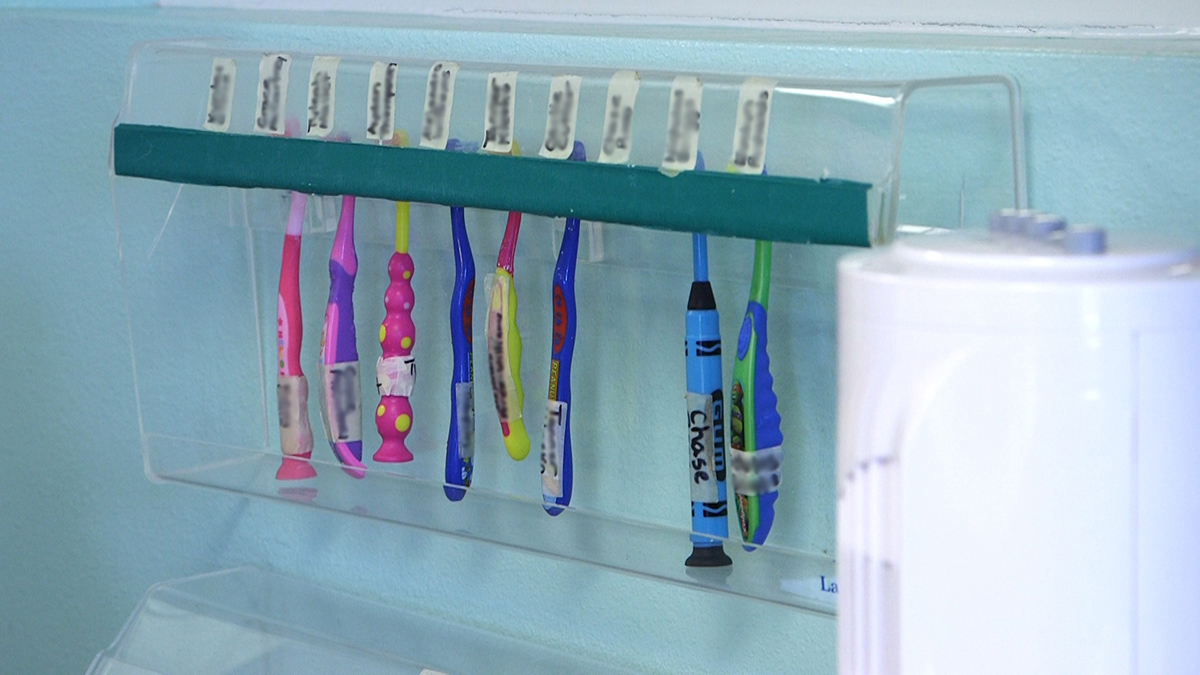 toothbrushes in a clean plastic toothbrush holder