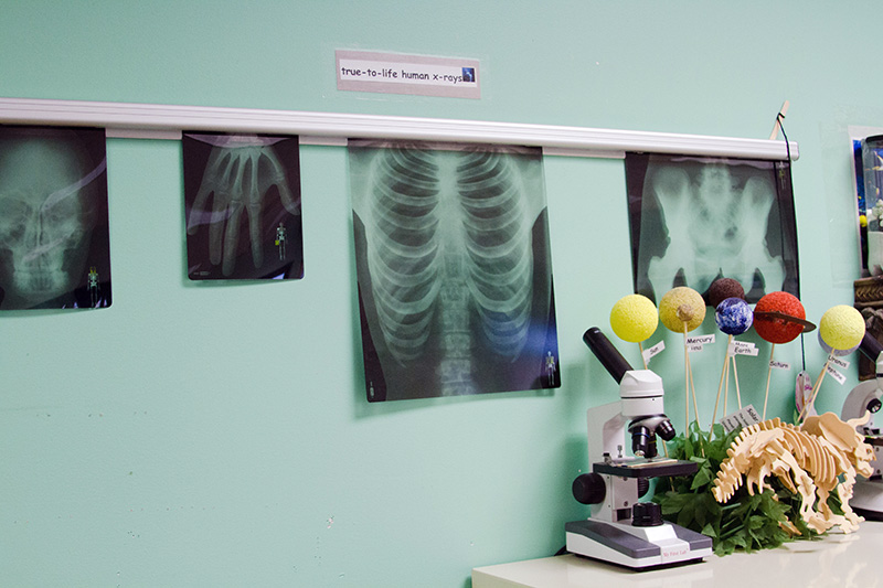 X-rays photos are displayed on the learning environment wall