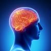 role of school in cognitive development